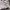 Armani	 Luxury Casual Casual pants Pria white tan photo 6