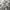 Armani	 Luxury Casual Casual pants Pria white tan photo 4