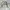 Streetwear Casual Harrington jacket Pria tan photo 4