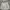 Uniqlo Futurist Casual Sweater Wanita white photo 1