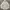 Polo Ralph Lauren Vintage Casual Formal shirt Pria white photo 1