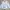 Luxury Casual Harrington Jacket Pria White Blue