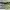 HOKA Sportswear Pria silver green photo 8