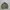Carhartt Casual Denim Jacket Pria Khaki