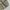 Carhartt Casual Denim jacket Pria khaki photo 4