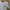 MLB Luxury Casual Sweater Pria white photo 5