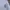 MLB Luxury Casual Sweater Pria white photo 3