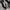 Puma Casual Sneakers Pria White Black