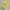 Pancoat Vintage Streetwear Hoody Pria yellow photo 1