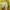 Pancoat Vintage Streetwear Hoody Pria yellow photo 5