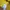 Pancoat Vintage Streetwear Hoody Pria yellow photo 6