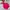 Eider Minimalist Casual Parka Kids pink photo 8