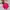 Eider Minimalist Casual Parka Kids pink photo 1