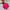 Eider Minimalist Casual Parka Kids Pink