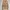 Vintage Y2K Jeans Pria tan brown photo 3