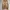 Vintage Y2K Jeans Pria tan brown photo 2