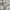 Minimalist Casual Puffer jacket Kids gray photo 5