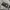 Minimalist Casual Puffer jacket Kids gray photo 7