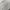 Minimalist Casual Puffer jacket Kids gray photo 3