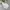 Blackyak Minimalist Casual Parka Kids cream photo 8