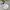 Blackyak Minimalist Casual Parka Kids Cream