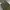 Polo Ralph Lauren Vintage Casual Casual pants Pria green photo 2