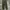 Polo Ralph Lauren Vintage Casual Casual pants Pria green photo 1