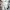 Luxury Going out dress Wanita multicolor photo 6