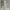 Luxury Going out dress Wanita multicolor photo 1