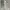 Luxury Going Out Dress Wanita Multicolor