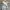 Luxury Going out dress Wanita multicolor photo 2