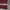 Levi's Vintage Casual Casual pants Pria red photo 4