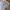 Abercrombie & Fitch Y2K Sweater Pria gold gray photo 2