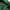 Vintage Muslim Baju muslim Wanita green photo 2