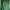 Vintage Muslim Baju muslim Wanita green photo 3