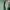 Vintage Muslim Baju muslim Wanita green photo 4