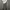 Vintage Casual Formal pants Pria gray photo 2
