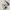Nike Casual Sneakers Wanita white photo 1