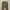 Japanese brand Avant Garde Formal pants Pria khaki photo 4