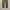 Japanese brand Avant Garde Formal pants Pria khaki photo 3