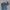 Buckaroo Minimalist Futurist Sweatshirt Pria navy photo 1