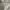 Covernat Y2K Luxury Formal shirt Pria gray photo 4
