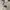 Covernat Y2K Luxury Formal shirt Pria gray photo 2