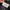 Feltics Y2K Casual Sweatshirt Pria purple black photo 5