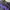 Feltics Y2K Casual Sweatshirt Pria purple black photo 3
