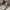 Polo Ralph Lauren Minimalist Casual Sweater Pria gray photo 3