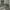 bebe Y2K Shirt Wanita gray photo 1
