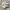 Nike Streetwear Casual Sneakers Wanita white gray photo 2
