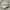 Nike Streetwear Casual Sneakers Wanita White Gray