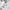 Gorpcore Windbreaker Pria white photo 5